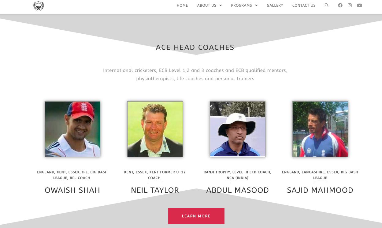 Read more about the article Ace Cricket
